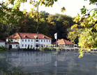 Herbstzeit - Fischzeit am Horstsee